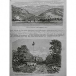 1872 I CALEDONIE BALADE CHEMIN OUVANOU VEGETATION PALMIER PHOTO GRESLAU ROBIN