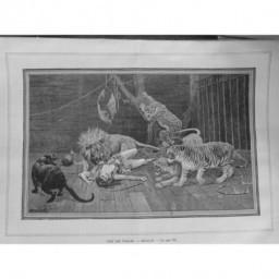 1891 UI FORAIN CAGE REVOLTE TIGRE GUEPARD LION DOMPTEUR ATTAQUE