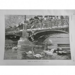 1887 I SUISSE LAC GENEVE LEMAN ARRIVEE MOUETTE PONT