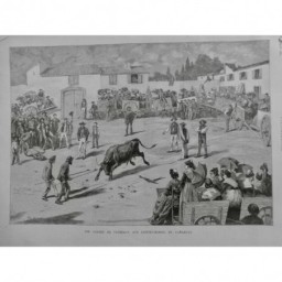 1884 I TAUREAU CORRIDA CAMARGUE SAINTE MARIE COURSE FOURCHE COUR