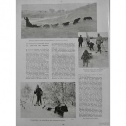 1940 I SKI NORVEGE ATTELAGE CHIEN TRAINEAU SOLDAT BLESSE PATROUILLEUR