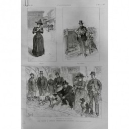 1891 I ECOLE VETERINAIRE ALFORT ATTENTE CONSULTATION ANIMAL CHIEN CHAT LANOS