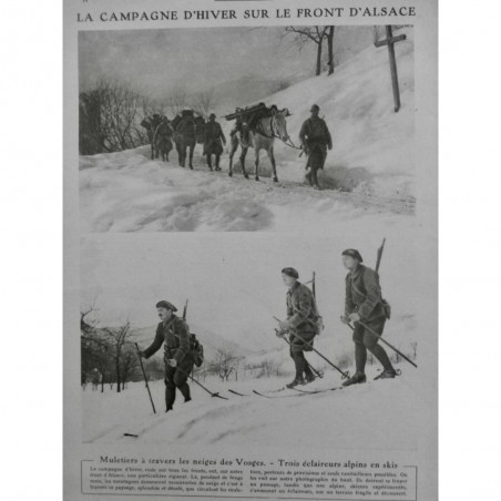 1918 LM SKI FRONT ALSACE HIVER VOSGES MULETIER ECLAIREUR ALPIN