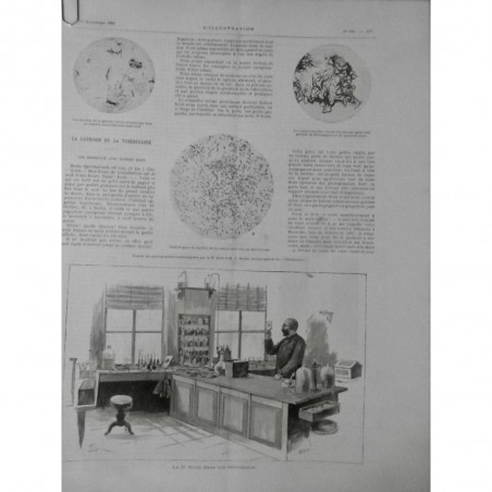 1890 MEDECINE DR KOCH LABORATOIRE CULTURE BACILLE TUBERCULOSE GUERISON