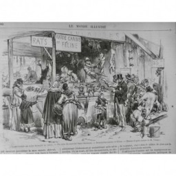 1871 MI PARIS SIEGE ALIMENTATION MARCHÉ BOUCHERIE CANINE FELINE ETALAGE VIERGE