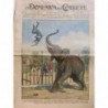 1928 DC ROMA PARC ZOOLOGIQUE ACCIDENT ELEPHANT JARDINIER