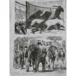 1869 MI CIRQUE ANIMAUX PARIS DOMPTEUR LUCAS ATTAQUÉ DEVORÉ LIONS CAGE