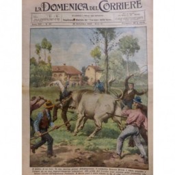 1928 DC TAUREAU FERME ABBIATEGRASSO AGRICULTEUR ERNESTO BRERA ENCORNE FOURCHE