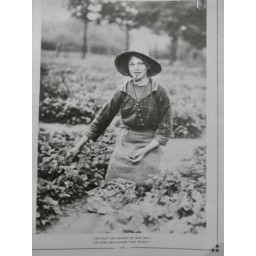 1915 E AGRICULTURE CULTURE FRAISE CUEILLETTE JEUNE FILLE PANIER