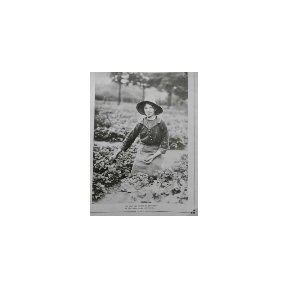 1915 E AGRICULTURE CULTURE FRAISE CUEILLETTE JEUNE FILLE PANIER