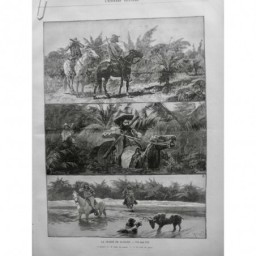 1892 UI FLORIDE CHASSE MARAIS CHIEN CHASSEUR CHEVAL CERF CARABINE LAC OKECHOBEE