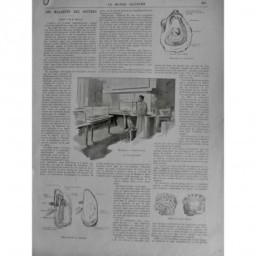 1896 MI HUITRES LABORATOIRE ORGANES MALADIE OVICULE PERLE