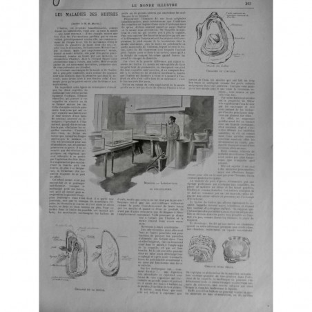 1896 MI HUITRES LABORATOIRE ORGANES MALADIE OVICULE PERLE